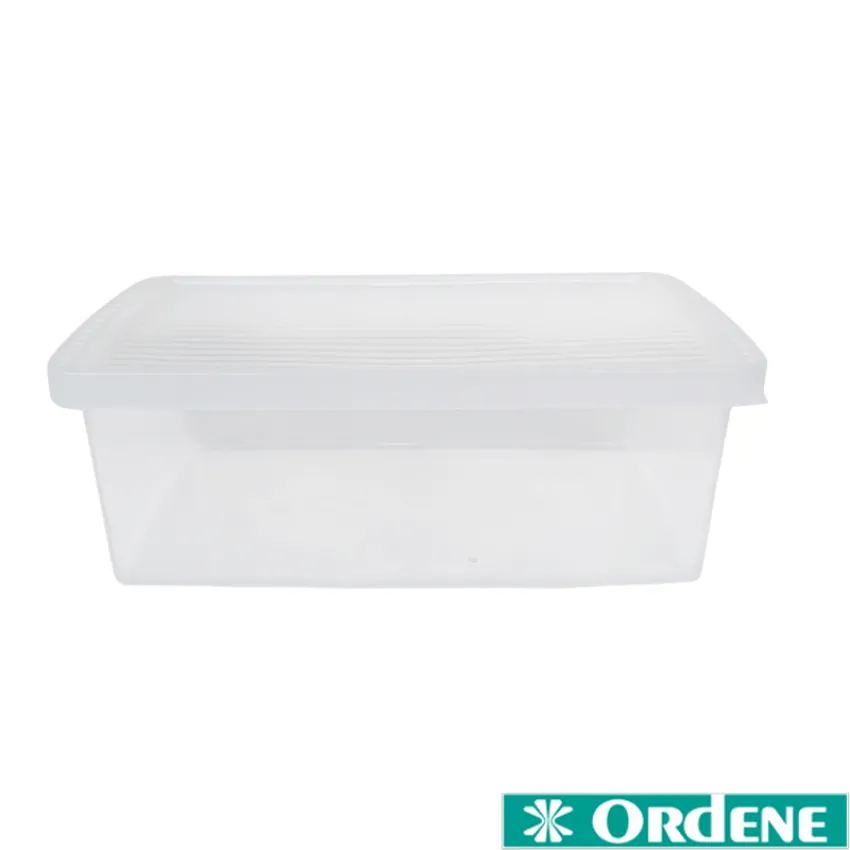 Organizador de Alimentos Ordene – Caixa Média 6,9L para Geladeira - Cor: Transparente - OR48011N