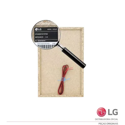 CAIXA ACÚSTICA MINI SYSTEM LG CK43 CK43N TCG36928102 NOVO | ORIGINAL