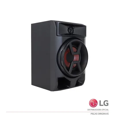 CAIXA ACÚSTICA MINI SYSTEM LG CK43 CK43N TCG36928102 NOVO | ORIGINAL